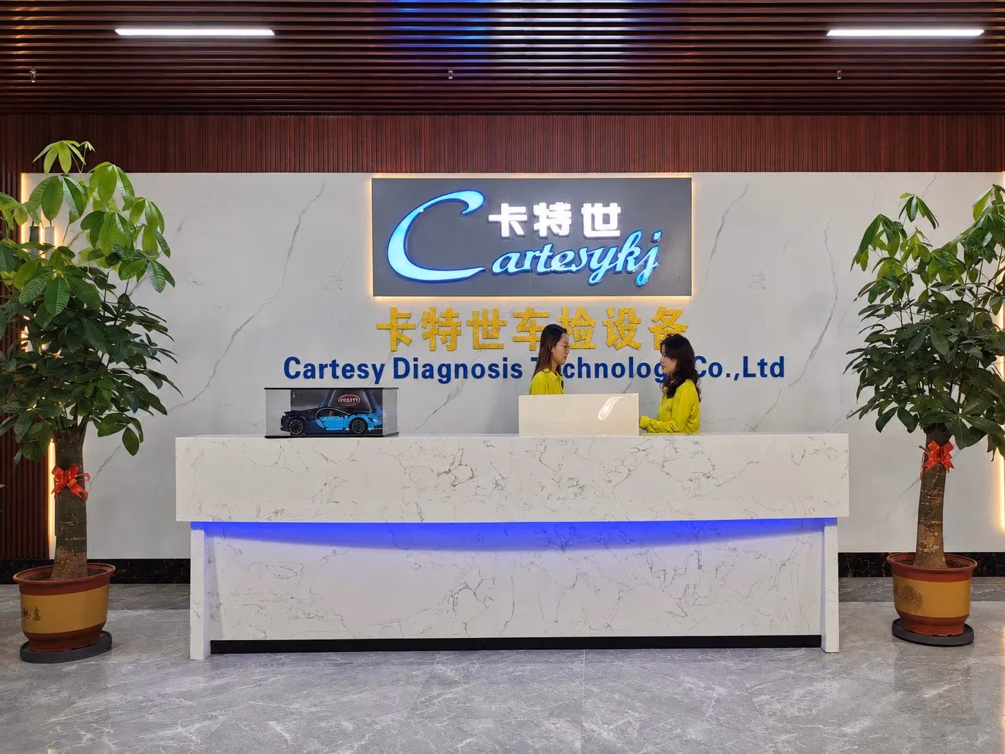 Company profile